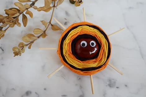 Kastanje-edderkop | FOF Aftenskolen Aarhus