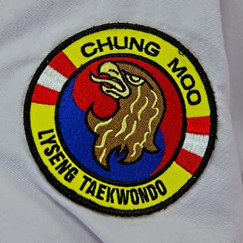 chung moo