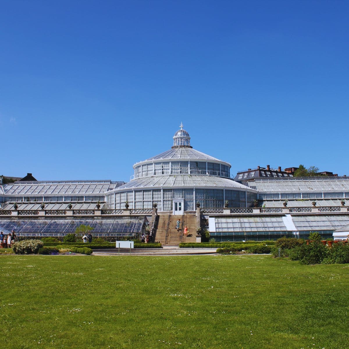 botanisk have- køge-fof-aftenskolen-.jpg