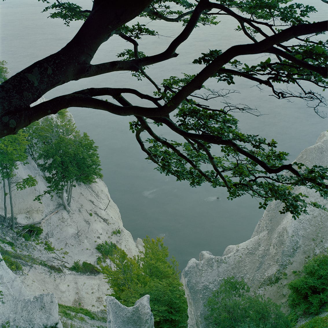 Udsigt på fotokursus for unge i vinterferien