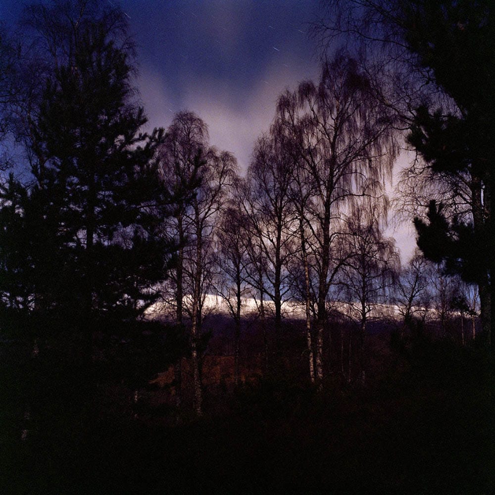 Mørk skov på fotoskole for unge hos FOF København og Nordsjælland