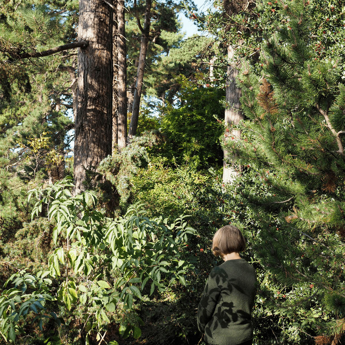 Fotografering i naturen
