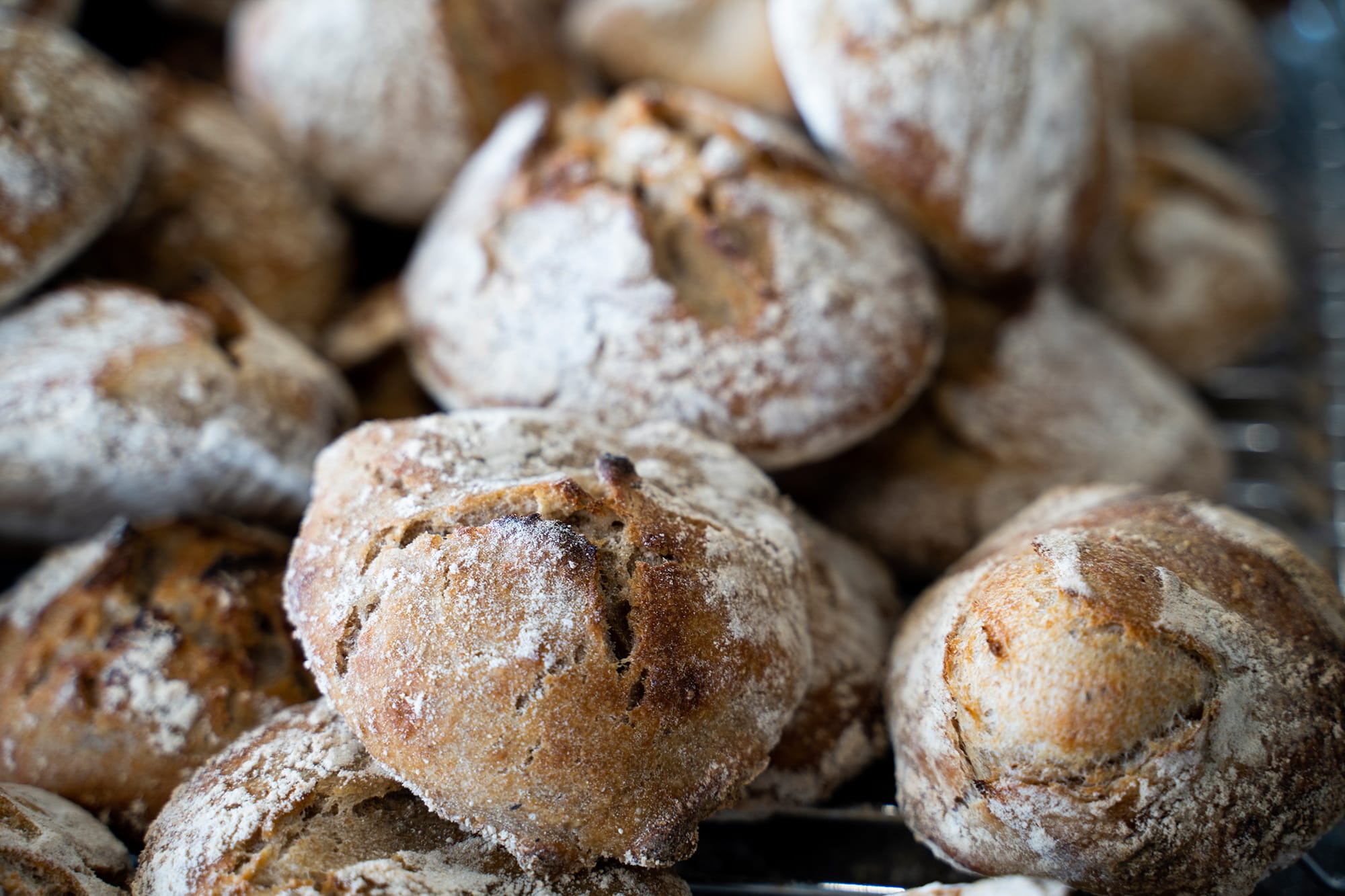 Lør at lave surdejsbrød på kursus hos FOF Aftenskolen