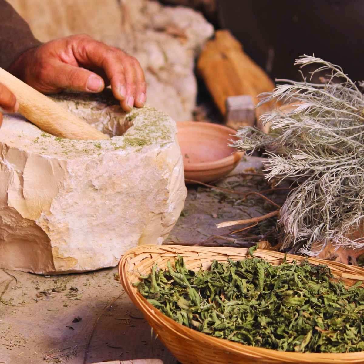 Medicinske urter behandles