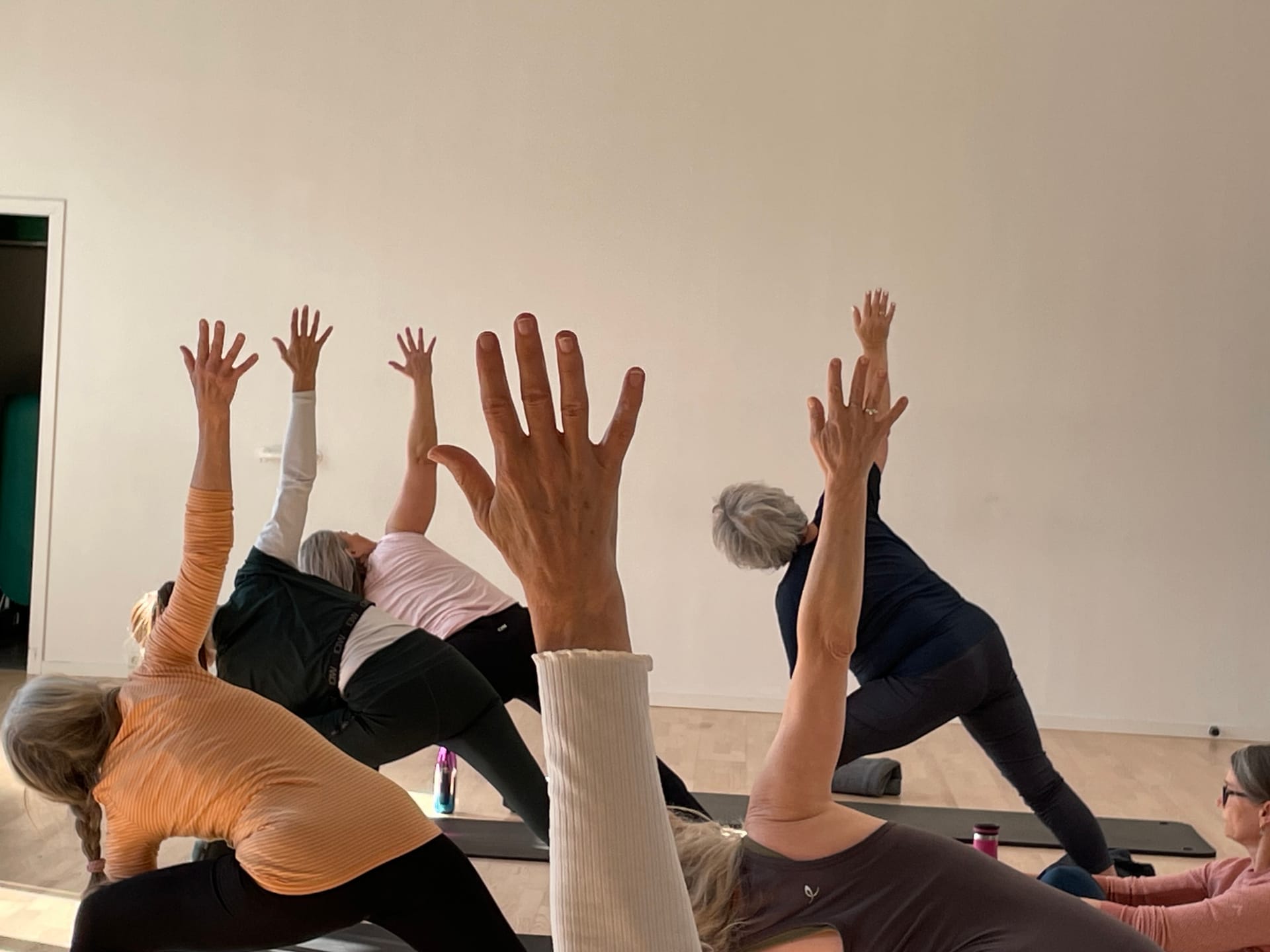 Yogier laver holistisk yoga