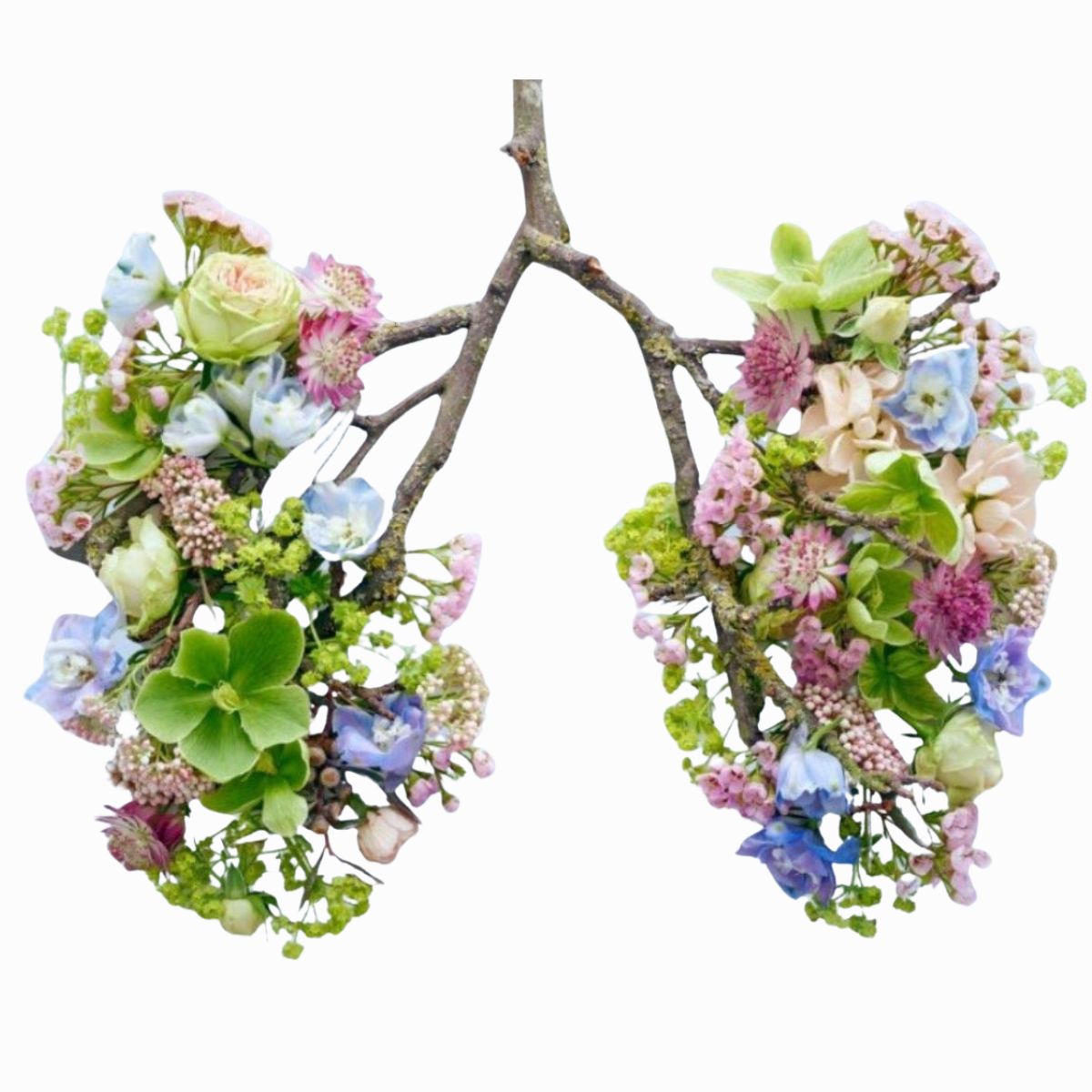 Deltager på lungekor