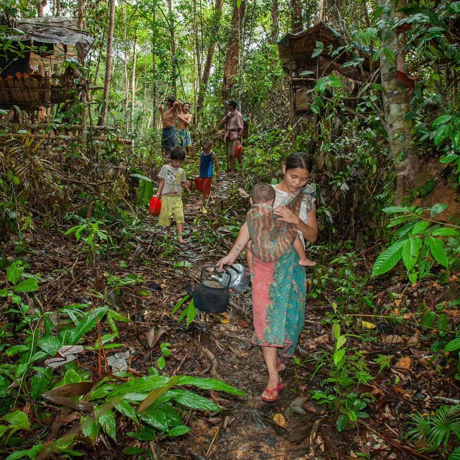Penan-folket i Borneos regnskov