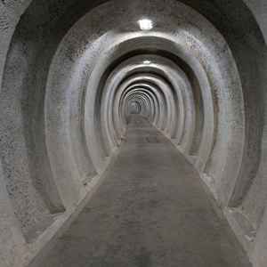 REGAN Vest, foto Lars Horn