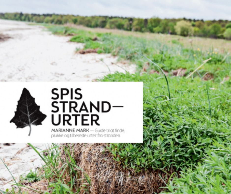 billede af strandurtebog