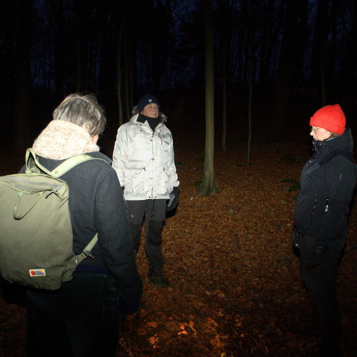 Gitte Grand Bang og kursister til skovbad.