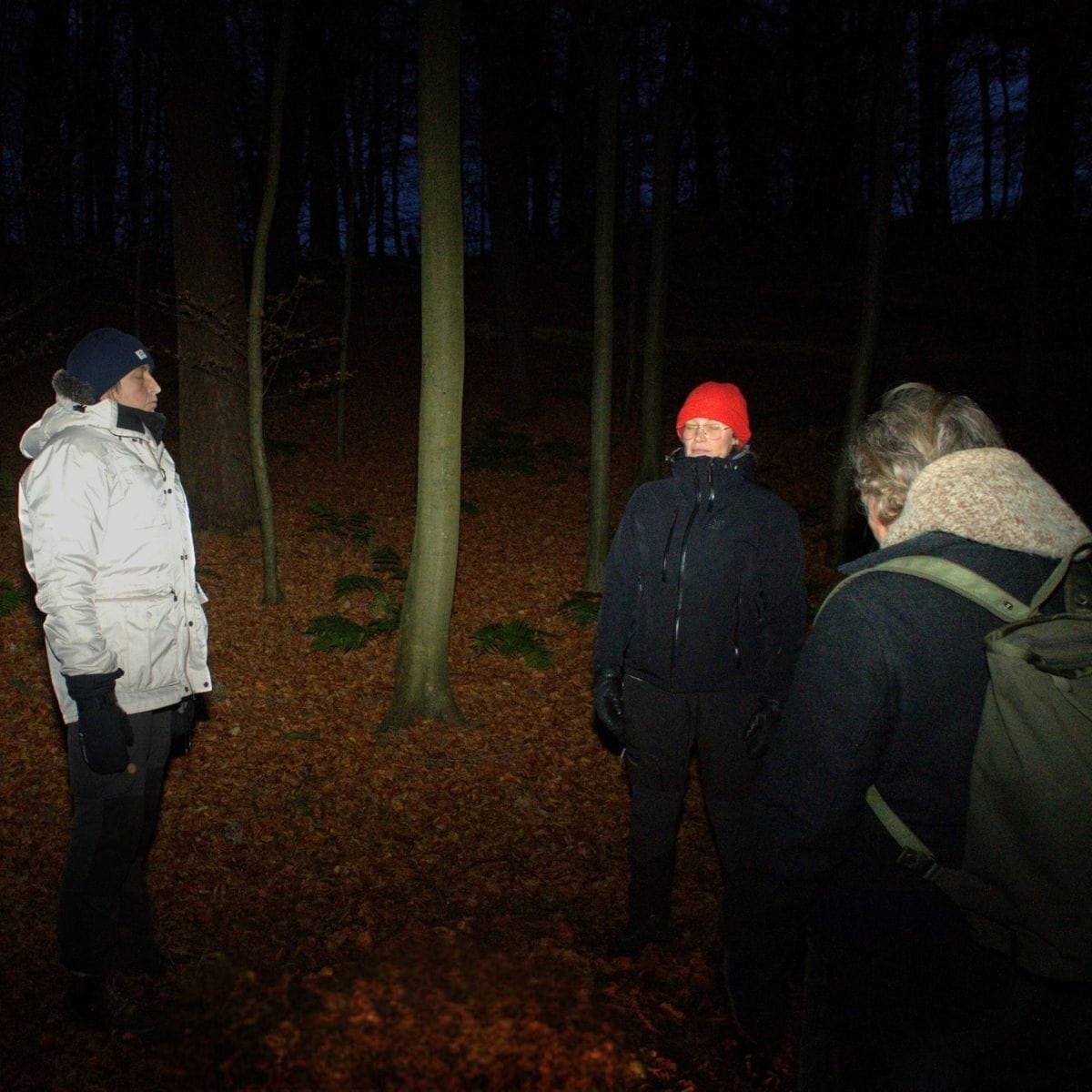 Gitte Grand Bang og kursister til skovbad