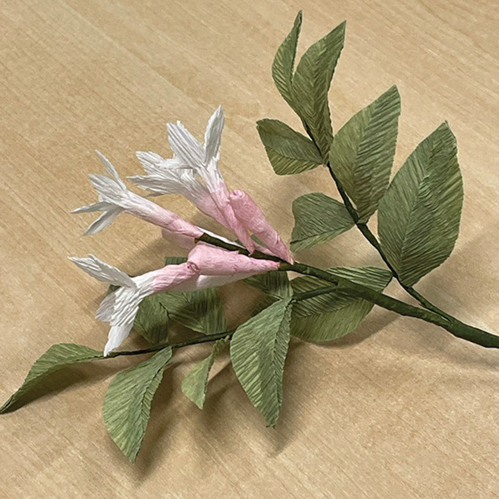 Hvide papirblomster – lær at lave papirblomster