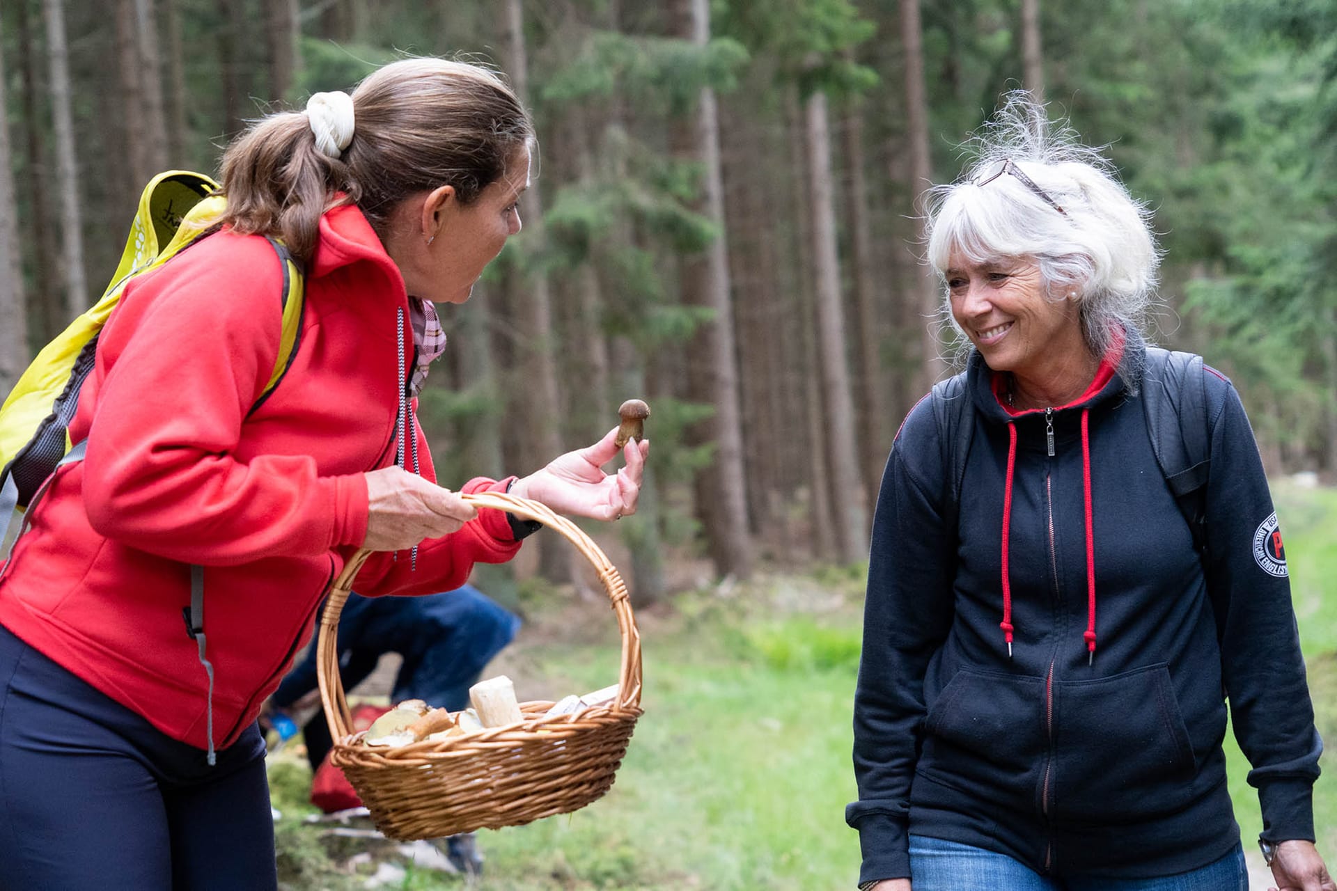 “Deltagere finder spisesvampe i Store Dyrehave på svampetur med FOF København og Nordsjælland.”