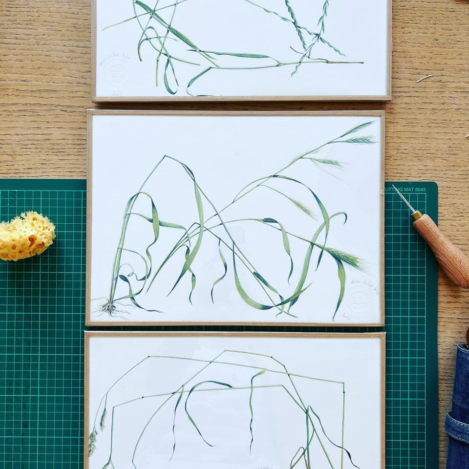 Watercolour paintings by teacher Alix Gillet-Kirt.