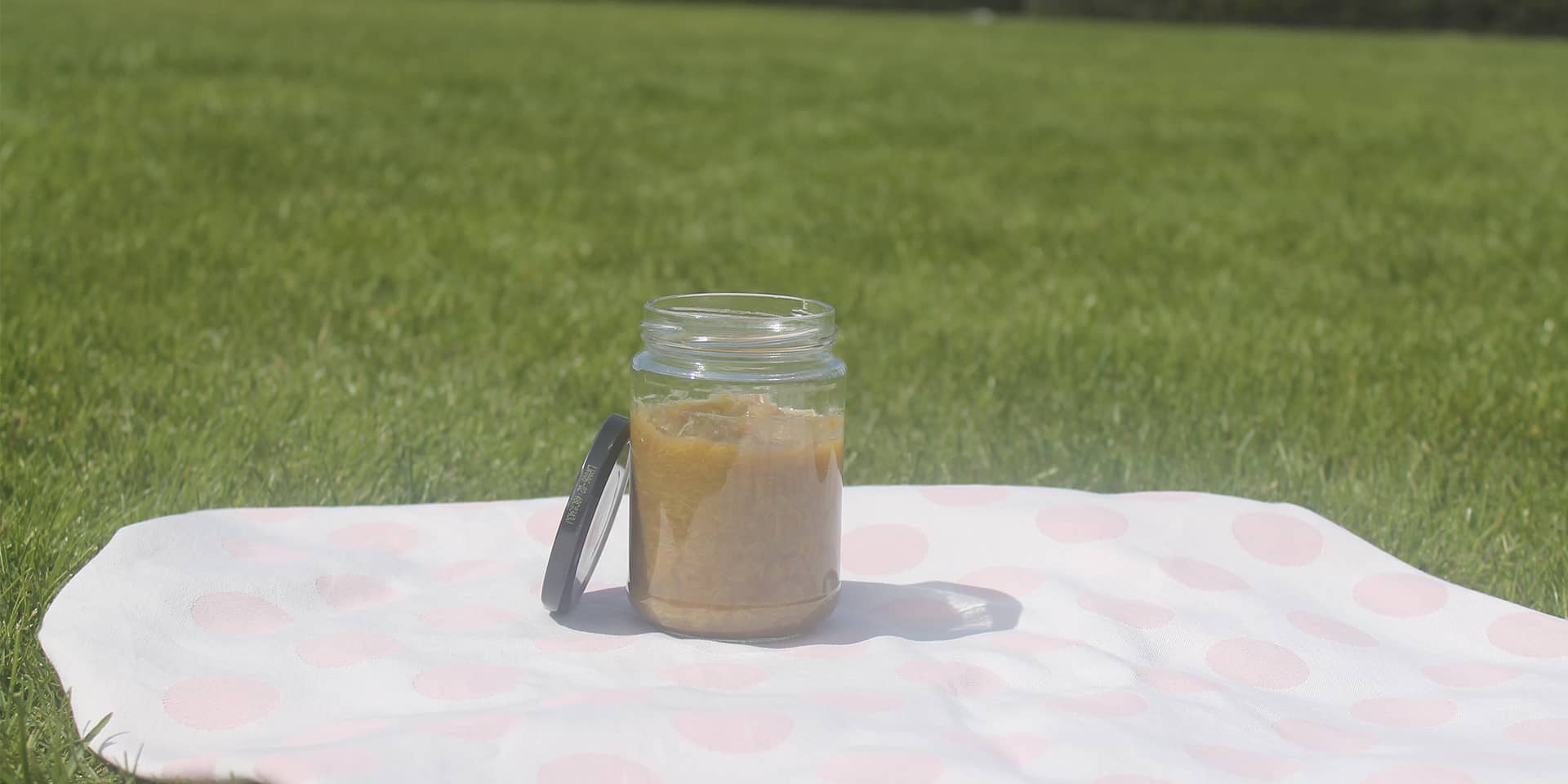 Hjemmelavet rabarberkompot med vanilje | FOF Aarhus