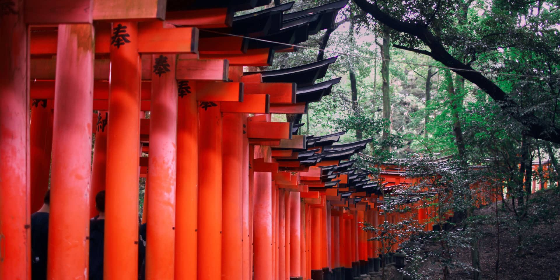 Indgang til japansk tempel | FOF Aftenskolen Aarhus