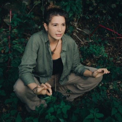 Vilde planter – naturvandring med FOF København og Nordsjælland