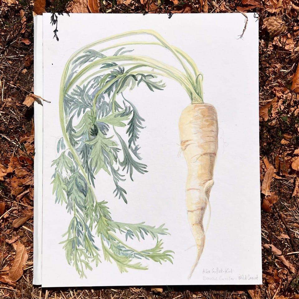 Intermediate watercolor class – take your watercolor skills to the next level