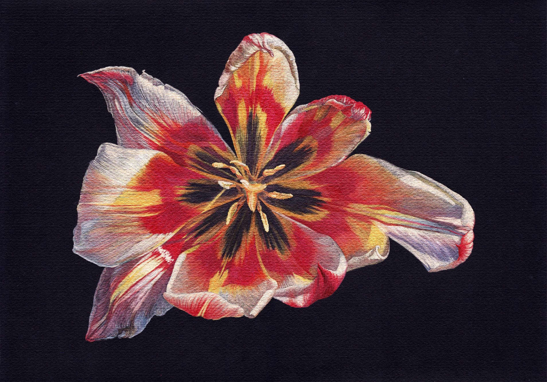 Blomst malet til kursus hos FOF København og Nordsjælland af underviser Anne Skole Overgaard