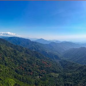 Luftfoto af Darién-lignende tæt jungle og bjerglandskab i sollys