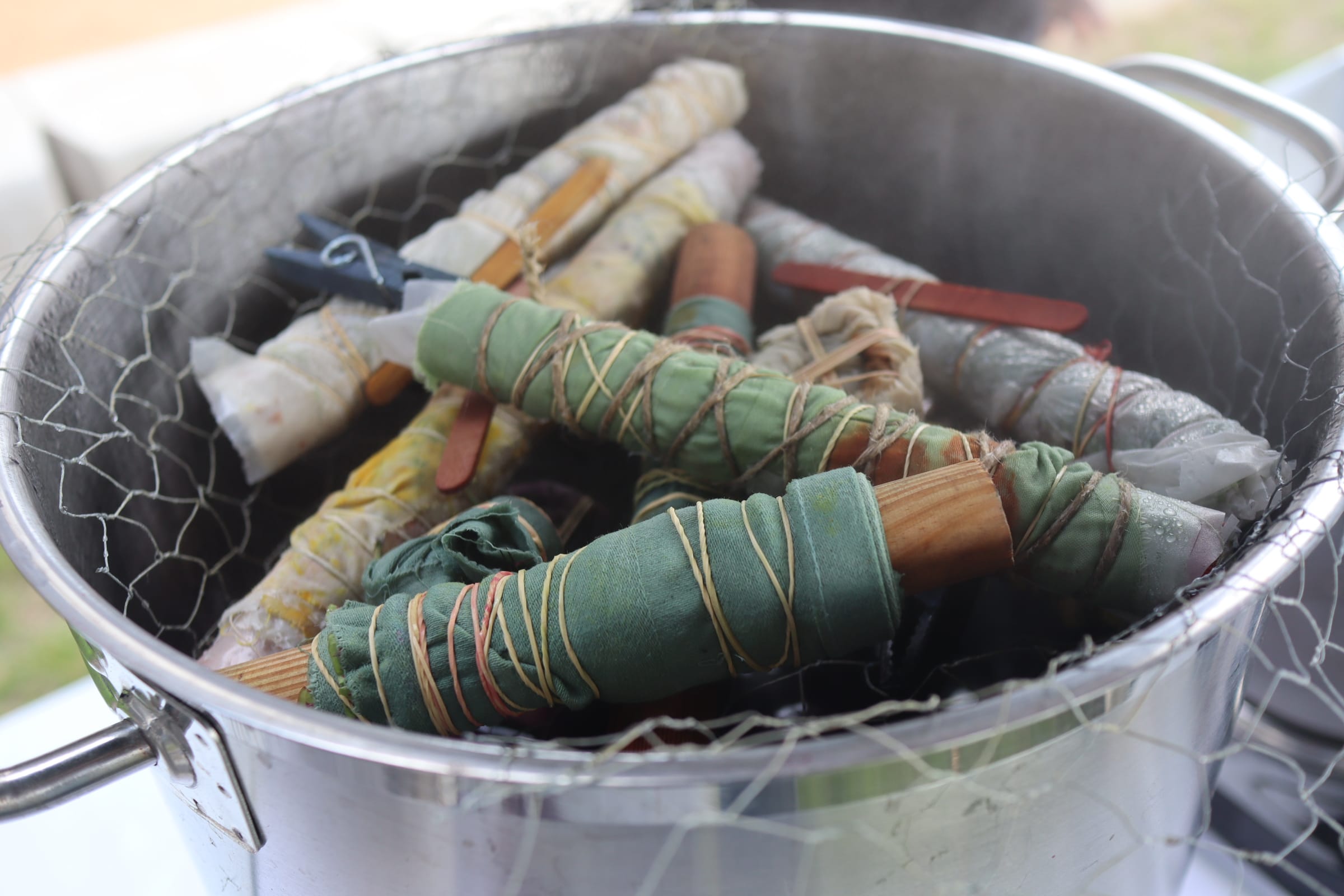 Farve stof med planter med underviser Anna Melander