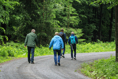“Deltagere fra FOF København og Nordsjælland vandrer i naturen med refleksion og ro under Vandring og den indre rejse.”