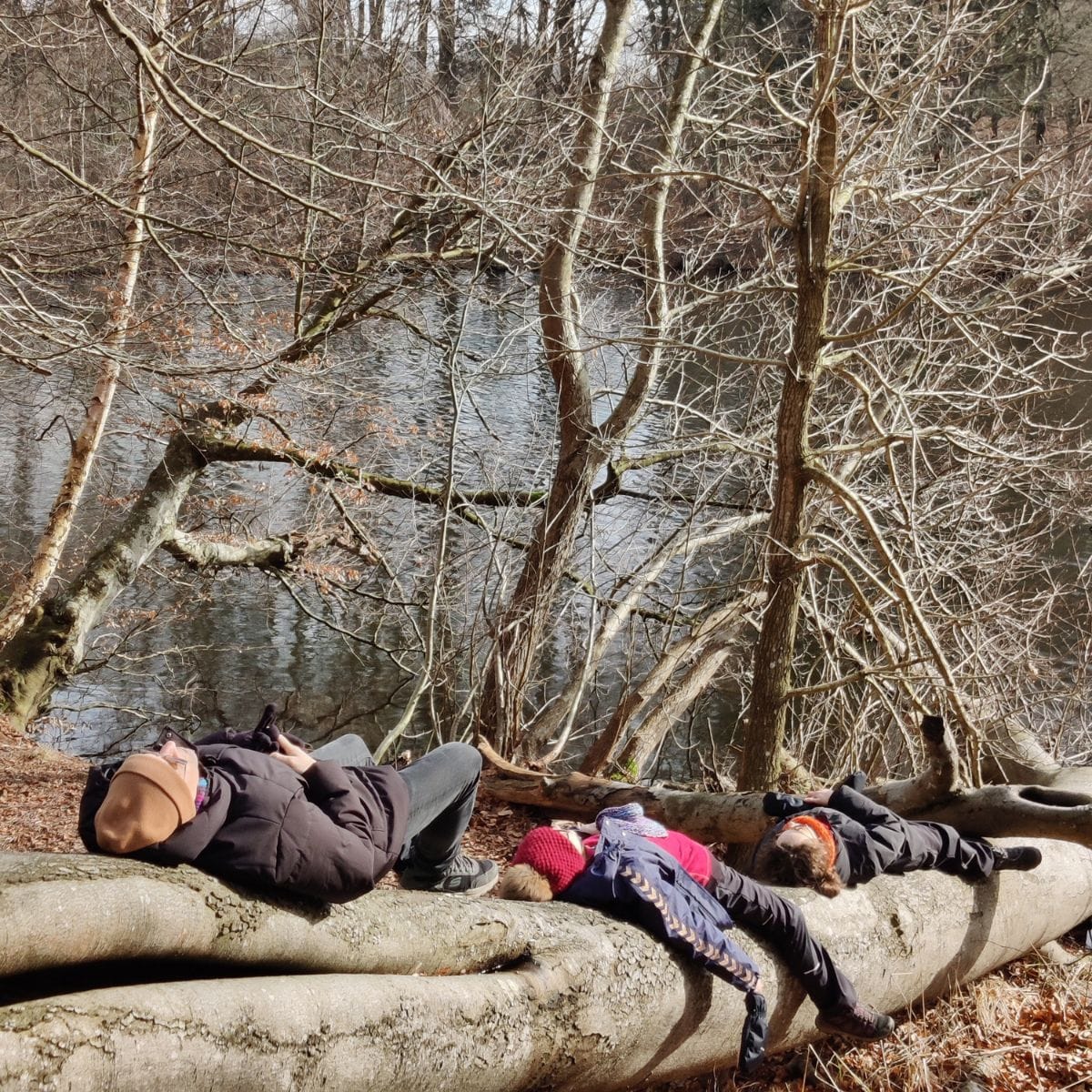 Mennesker ligger i skov