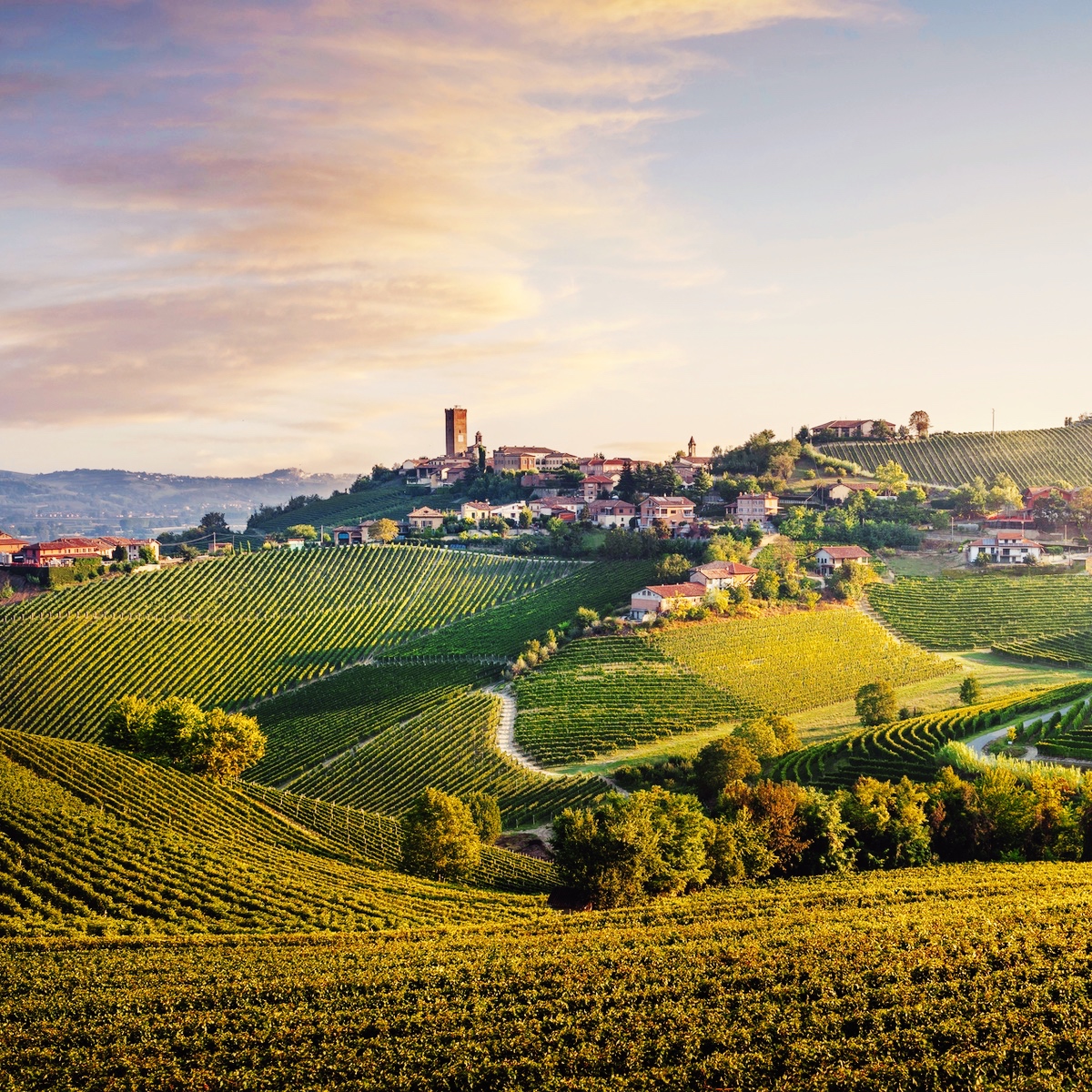 Udsigt over italienske vinmarker og bakkelandskab – symbol på kultur og sprog.