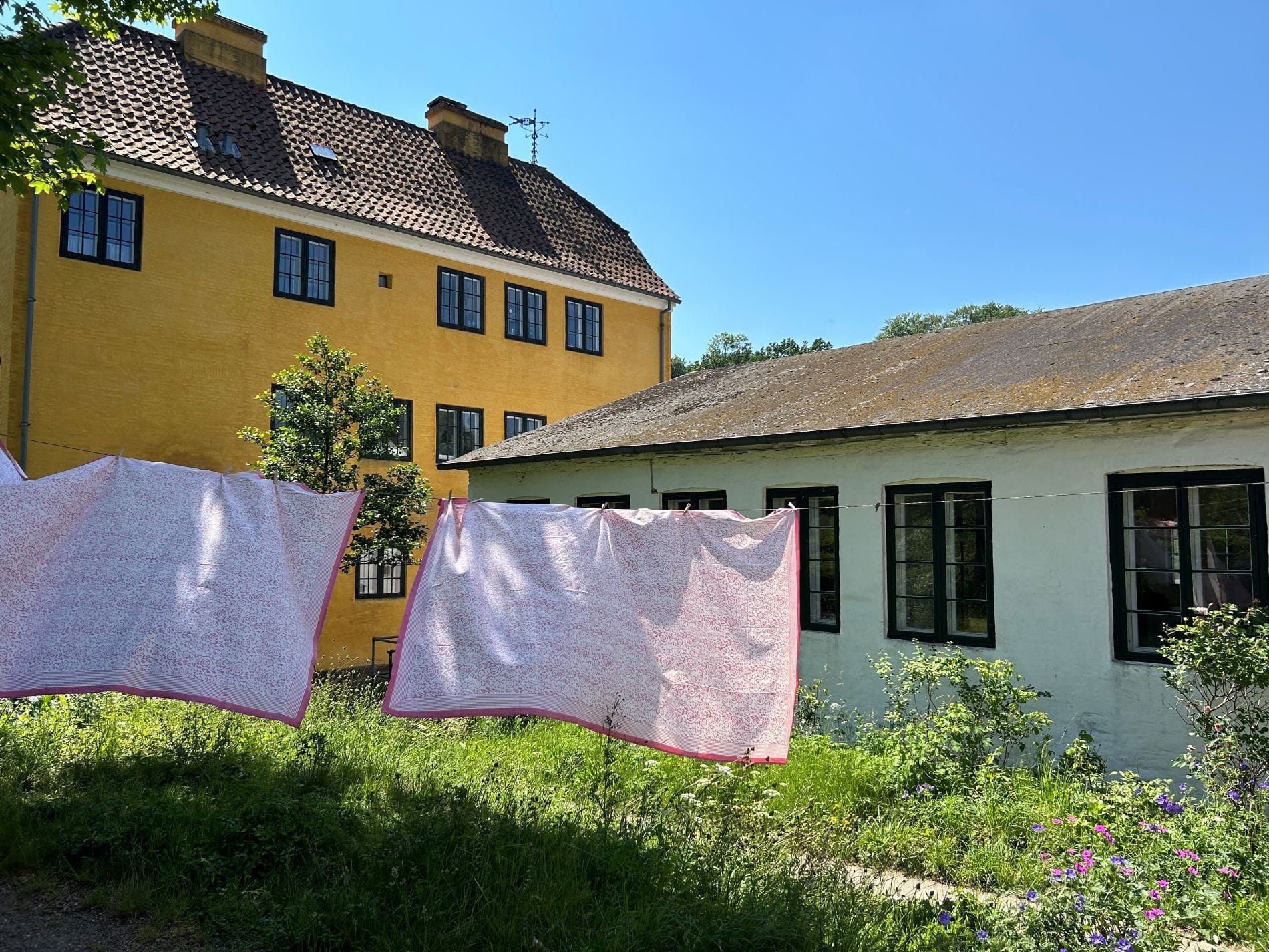 Raadvad i Jægersborg Dyrehave