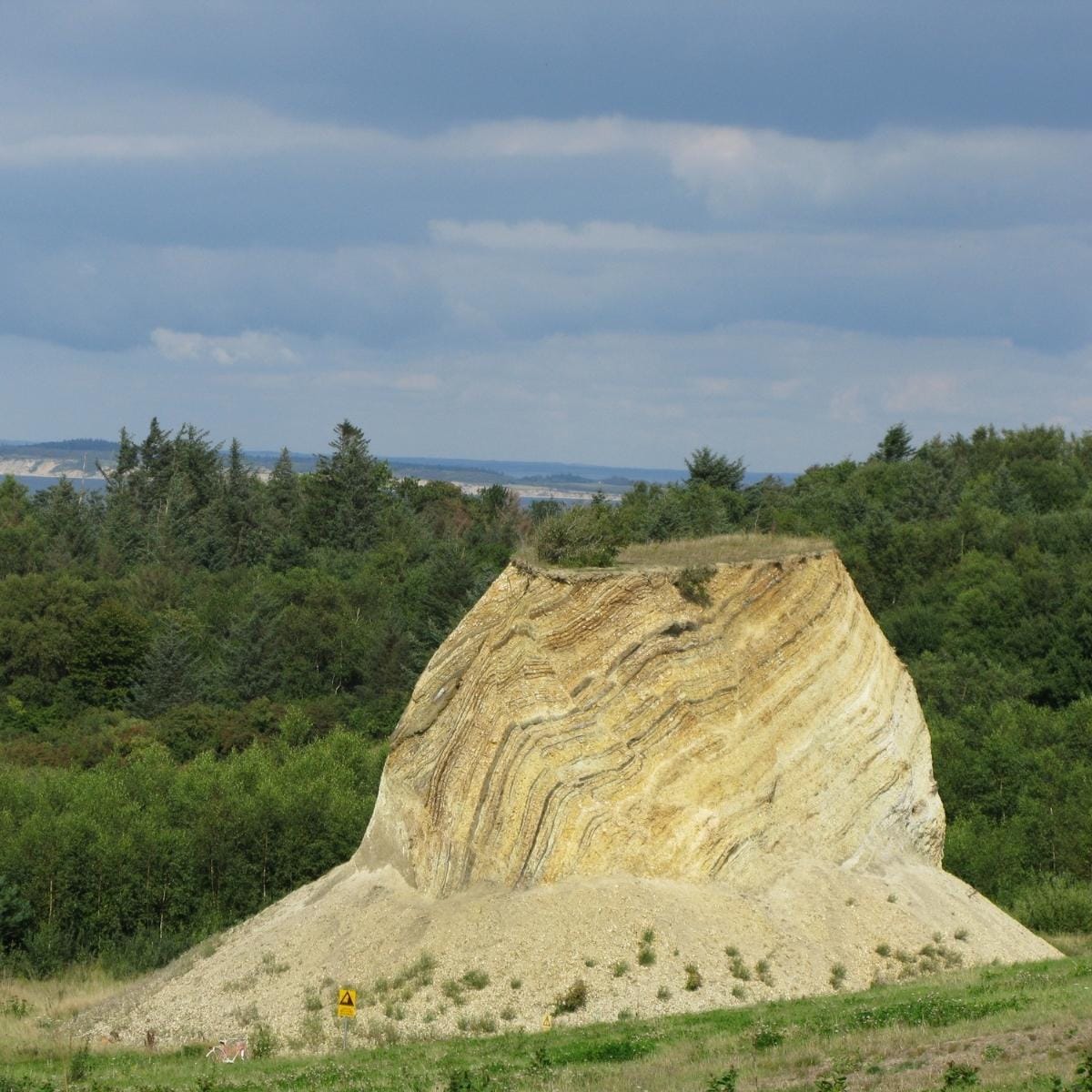 Natur på Fur | Tag til Fur med FOF Aarhus