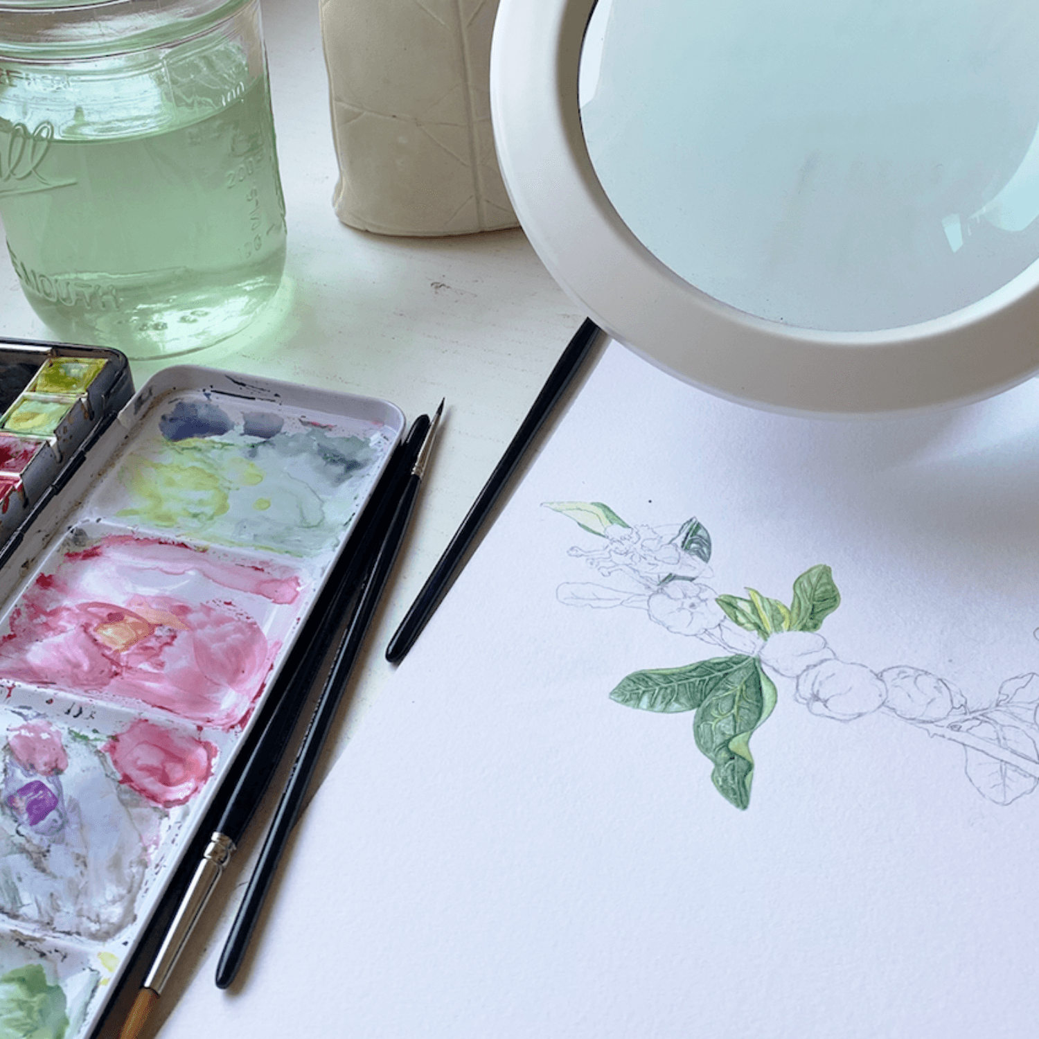 Akvarelkursus med fokus på botanisk illustration