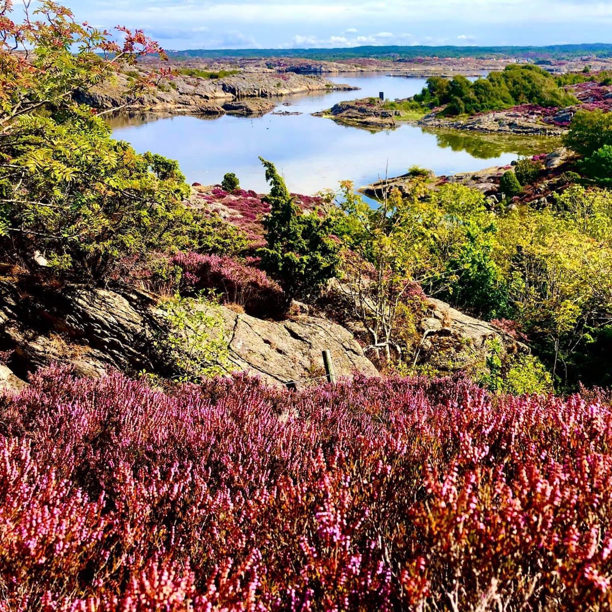 Vandreruter i den svenske skærgård