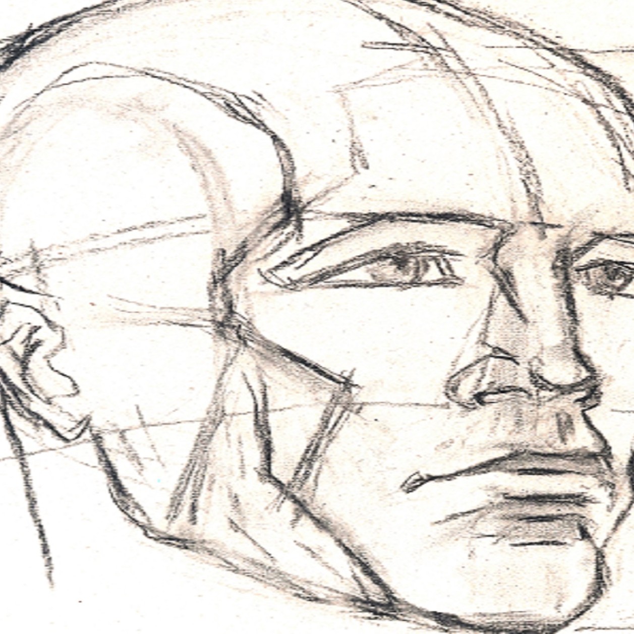 Portraettregning, umbraco, kvadrat.jpg