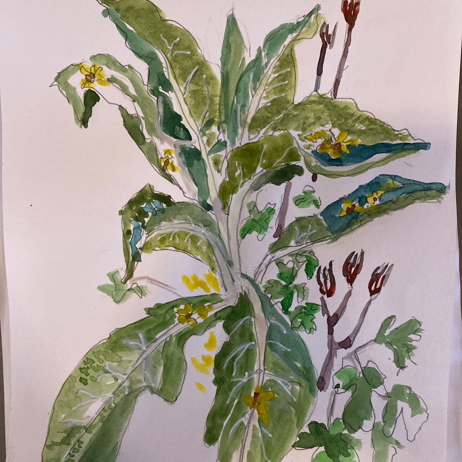 Sommerworkshop med fokus på farvelære på aftenskolen