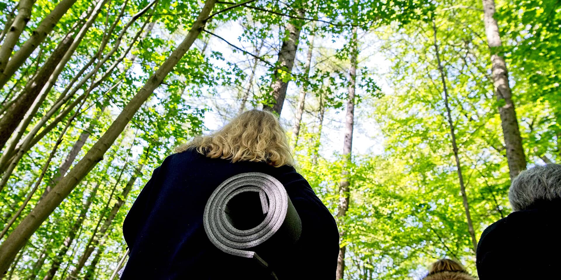 Kursus i japansk skovbad, mindfulness i naturen, i FOF Aarhus