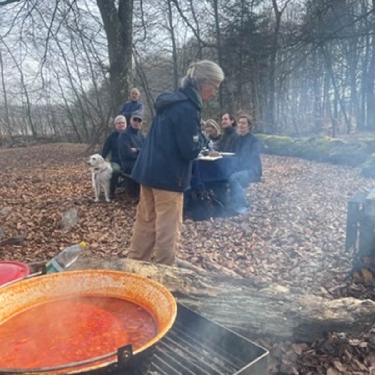 FOF København og Nordsjælland afholder naturvandringer
