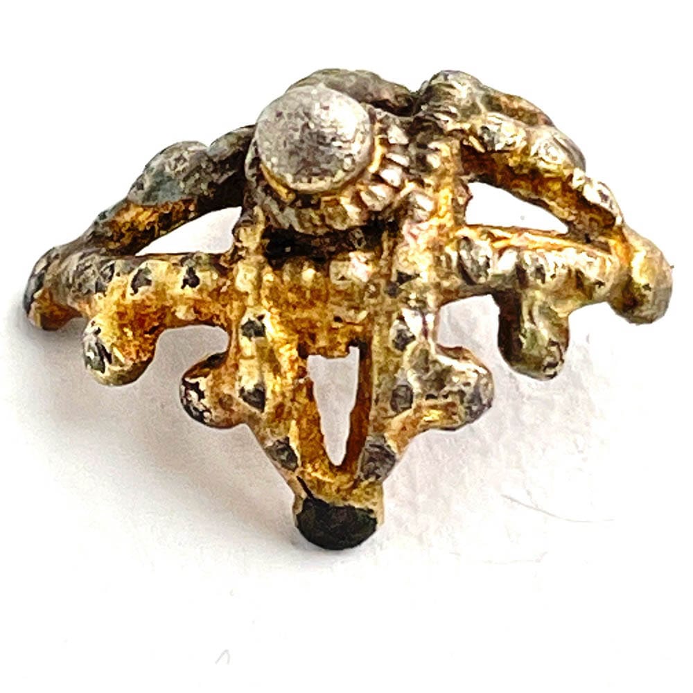 "Undervisers egne arkæologiske fund"