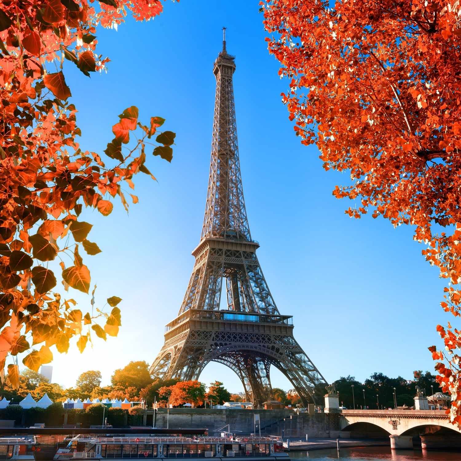 Eiffel tårnet blandt efterårsblade