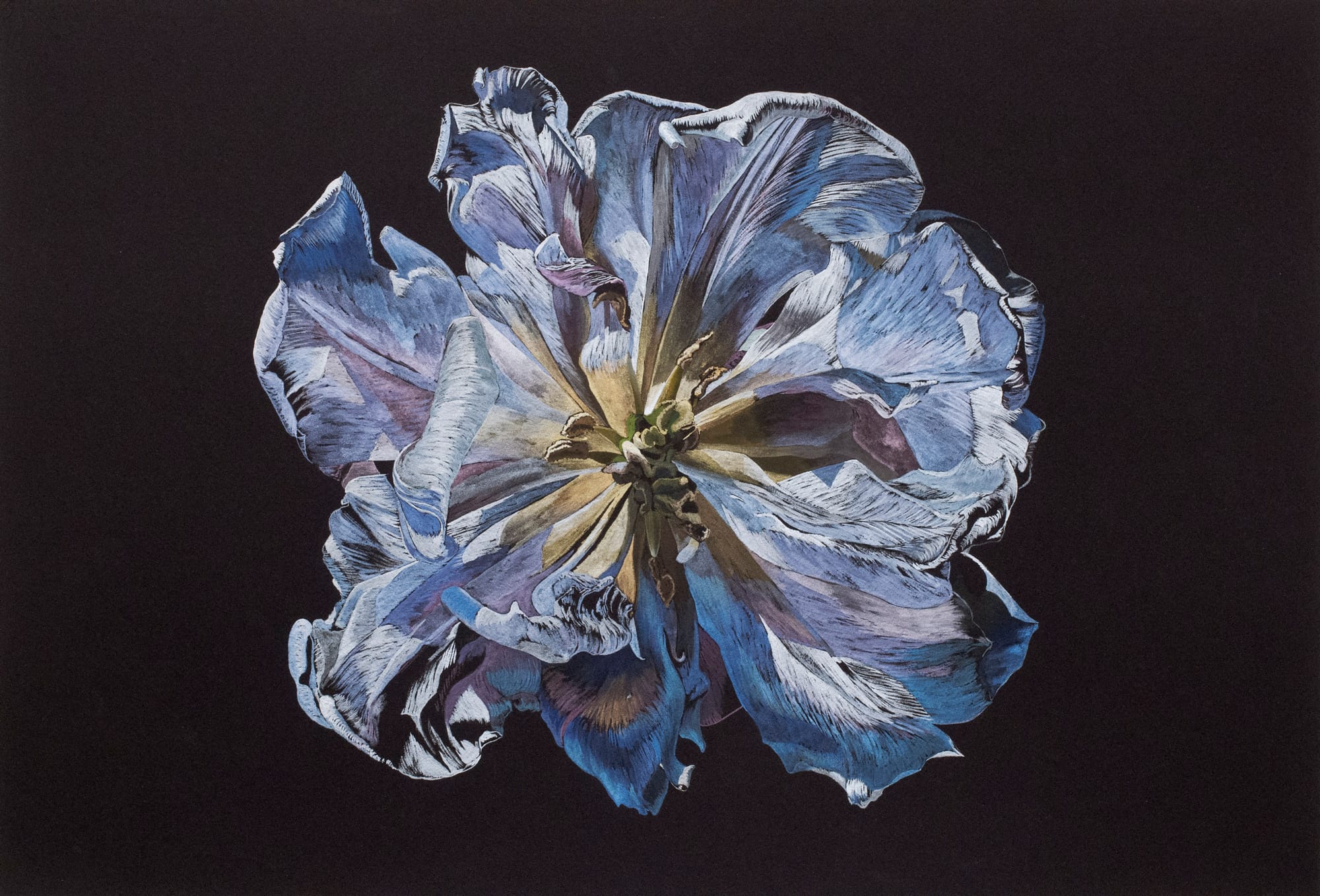 Tulipan malet af underviser Anne Skole Overgaard