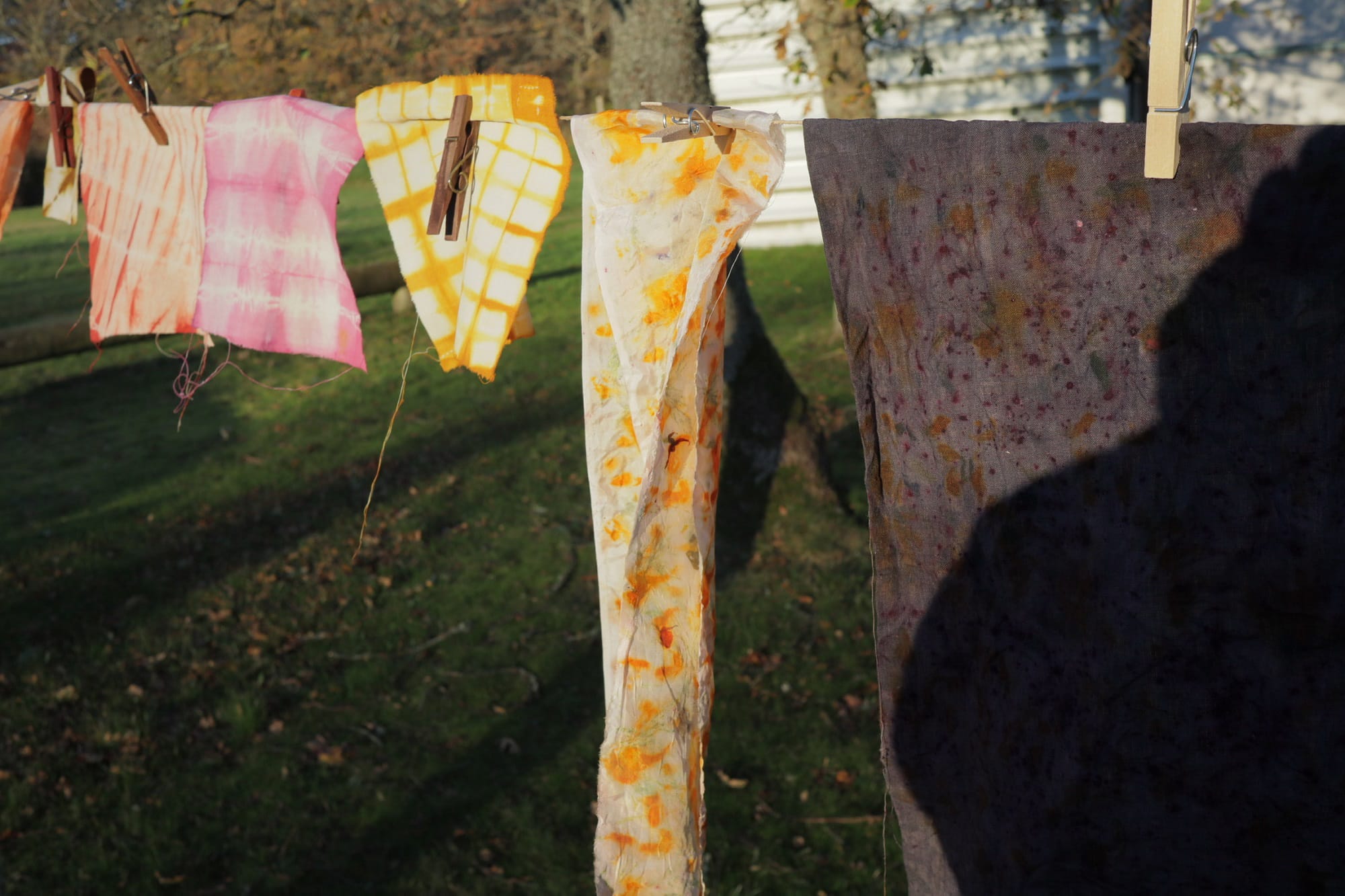 Plantefarvning med Anna Melander