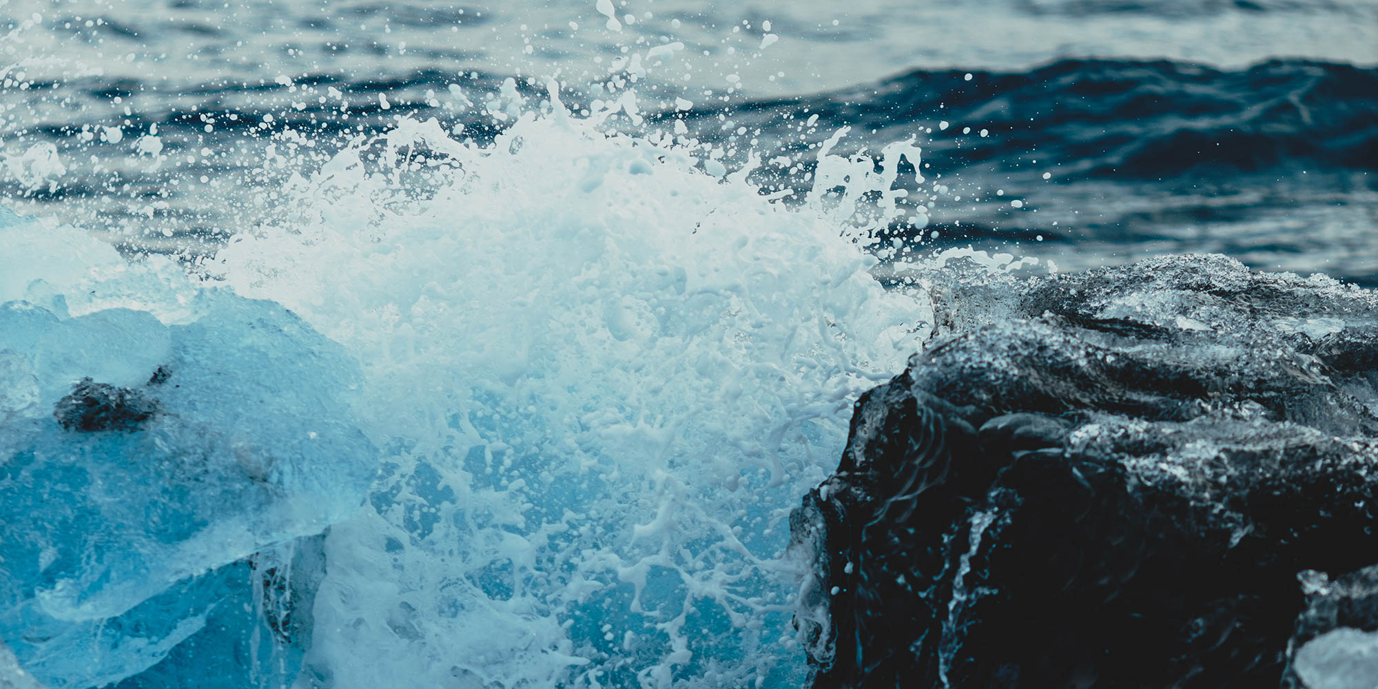 FOF København og Nordsjælland står bag Formiddagskoret Nordklang