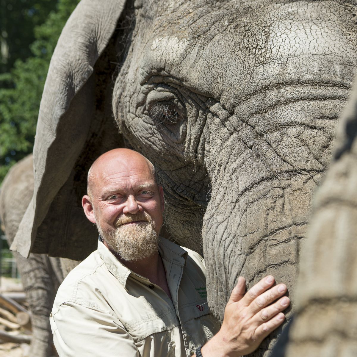 paw gosmer - foredrag om elefanter