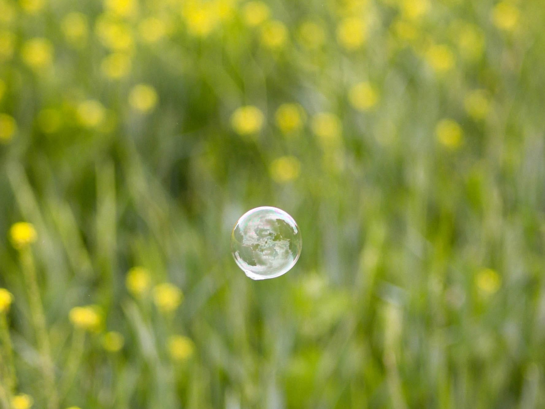 Arbejd med krop og stemme