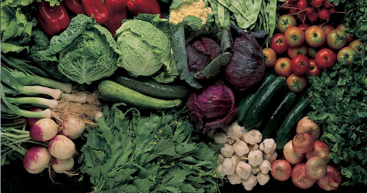 Deltager modtager viden om at lære at dyrke køkkenhave