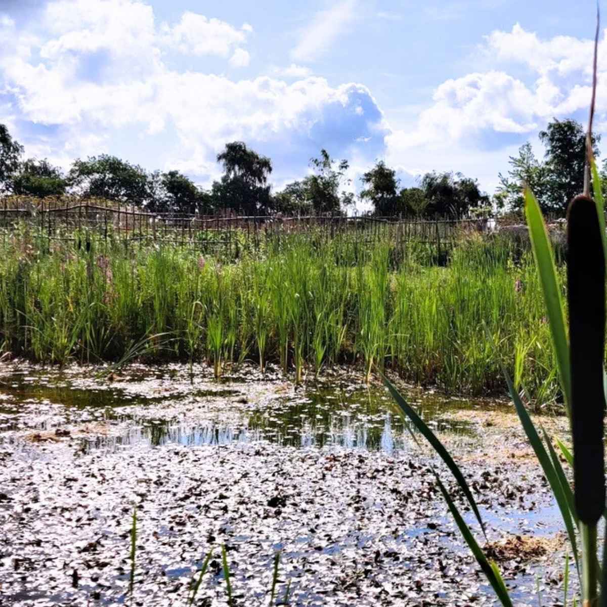 Sø hos Reiter & Reiter