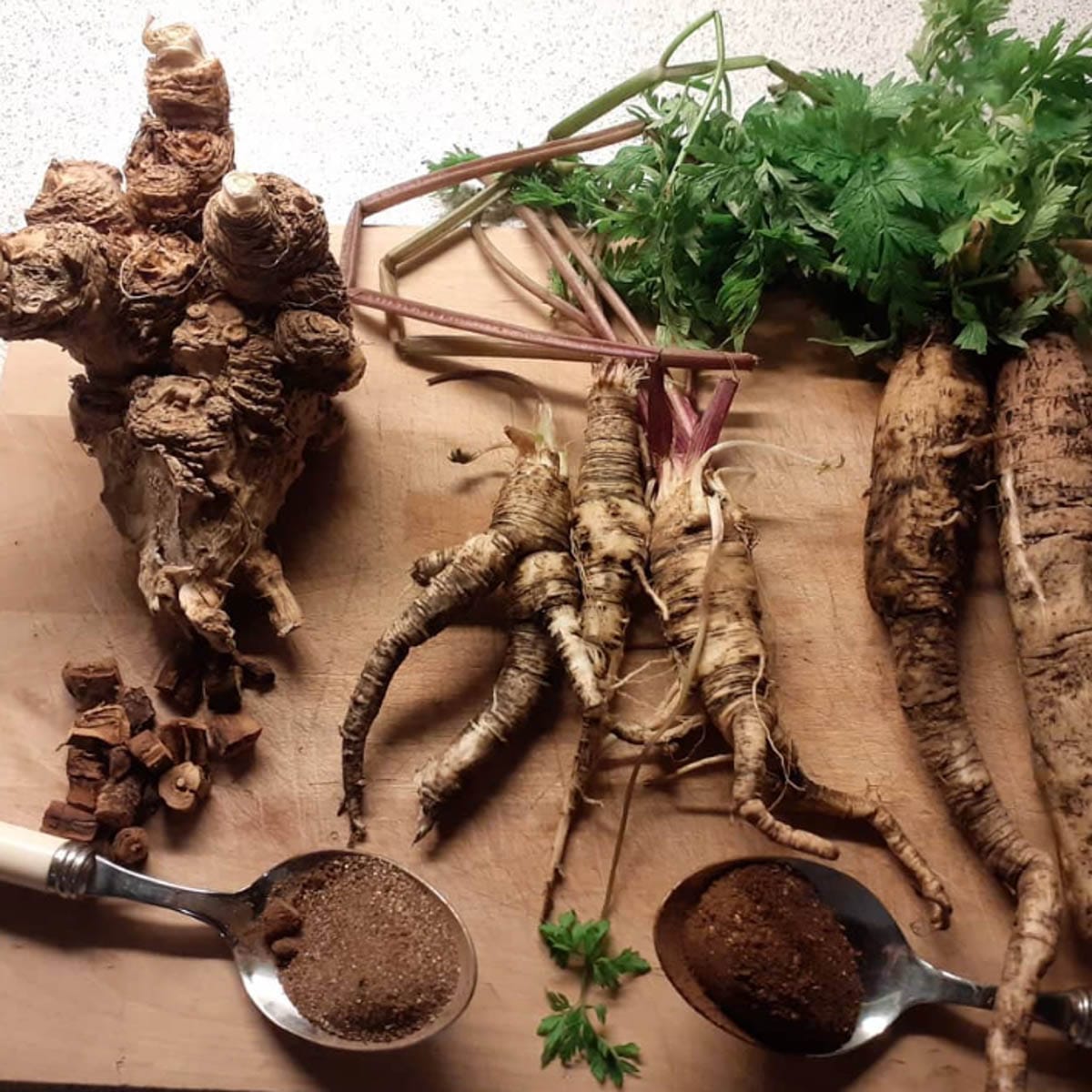 “Deltagere finder vilde vinterrødder på sanketur med FOF København og Nordsjælland.”