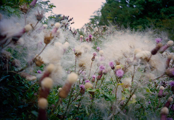 Kursus i kunstfotografering med mindful vandring