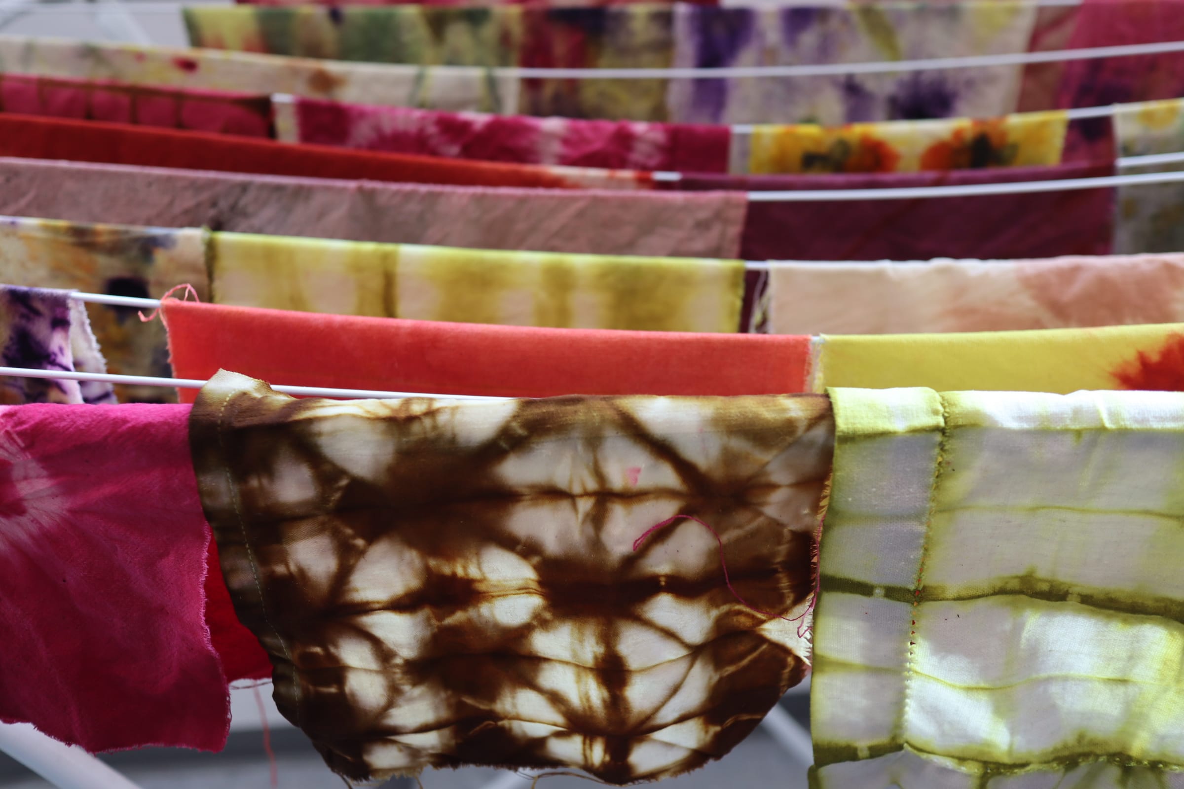 Farv med planter med underviser Anna Melander på aftenskole