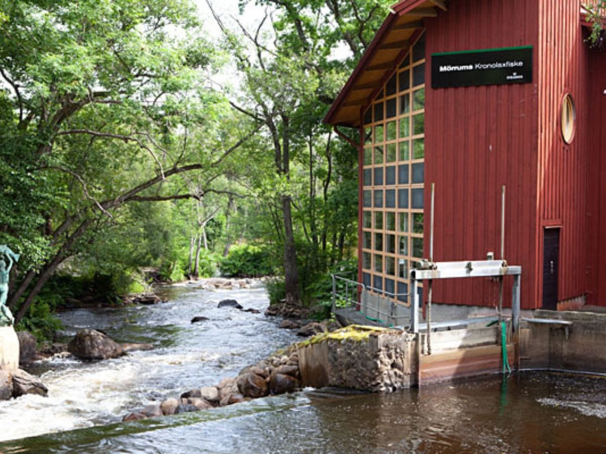 Billede af Laxens Hus i Sydsverige - åløb og rødt hus.