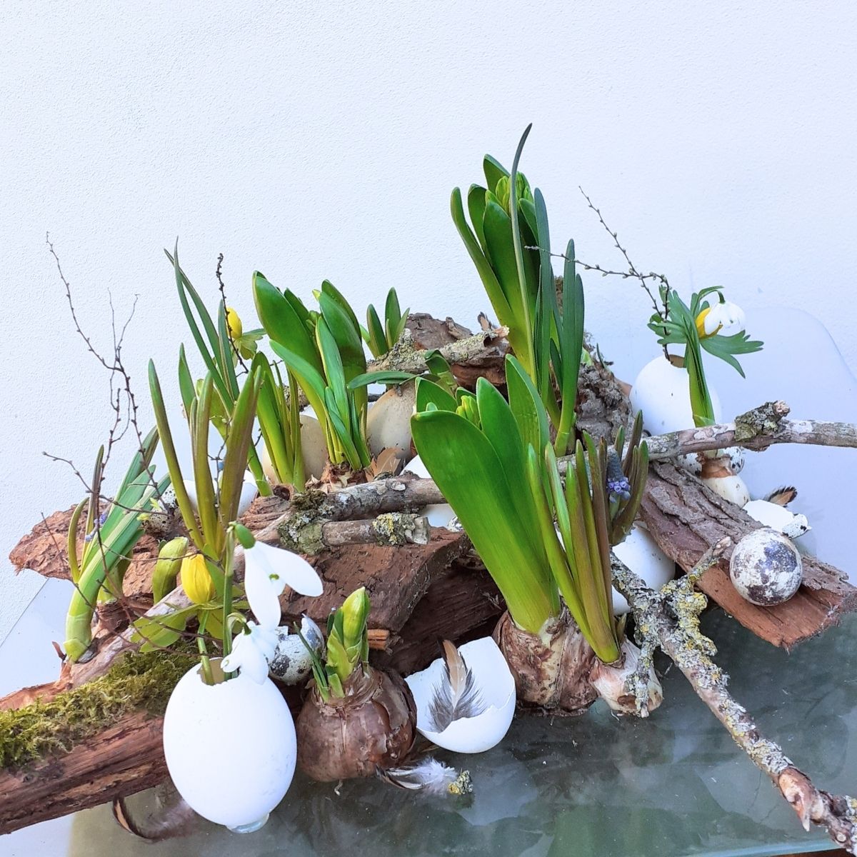 Forårs- og påskedekoration ud af påskesæsonens blomster og natur